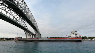 Finnborg 142m / 466ft Cargo / Containership In Great Lakes Sept 13 2021