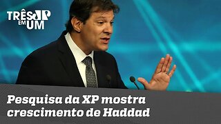 Pesquisa da XP mostra crescimento de Haddad