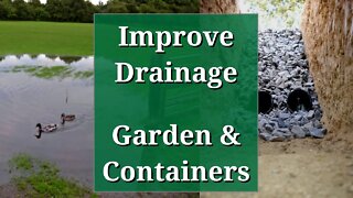 Improve Drainage in the Garden and Containers