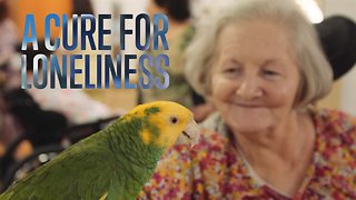 Animal Therapy: Helping the Elderly