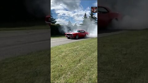 69 Camaro SS Burnout #shorts #cars #burnout