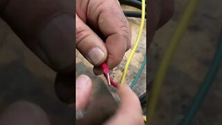 How to Strip Wire #shorts