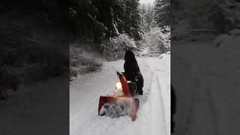 Helpful Newfoundland uses snowblower to clean driveway