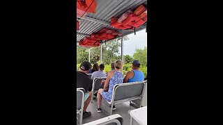 Primate Expedition Cruise At Naples Zoo
