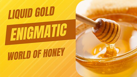 Liquid Gold: Exploring the Enigmatic World of Honey