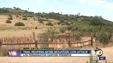 Los Penasquitos Canyon reopens after mountain lion attack