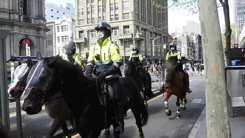 VICPOL EQUESTRIAN RACE AWAY FROM #CMFEU UNION