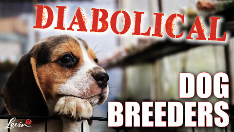Diabolical Dog Breeders