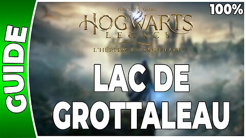 Hogwarts Legacy : l'Héritage de Poudlard - LAC DE GROTTALEAU - 100% Coffres, Pages, Demiguises