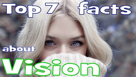 Top 7 facts about vision and How Eyesight works