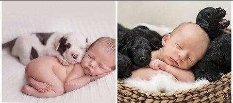 Baby Sleeping with puppies