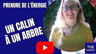 Comment prendre de l'énergie : arbre et forêt