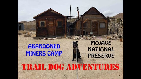 Abandoned Mining Cabin- Mojave National Preserve