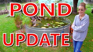 Solar Pond Update!!!!