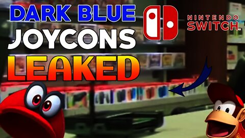 Nintendo Themselves LEAK *BRAND NEW* Joycon Color!