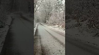 White Wonderland Longleat Wiltshire UK