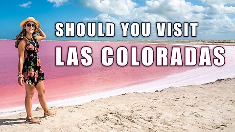 Day Trip to Las Coloradas Pink Lake & Rio Lagartos in Mexico