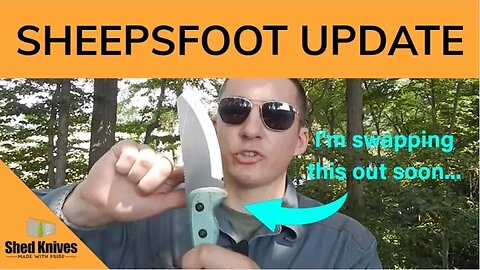 CARRY UPDATE + General Thoughts & Review ft. 2023 Sheepsfoot | Shed Knives #shedknives