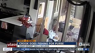 Crook goes fishing for purse