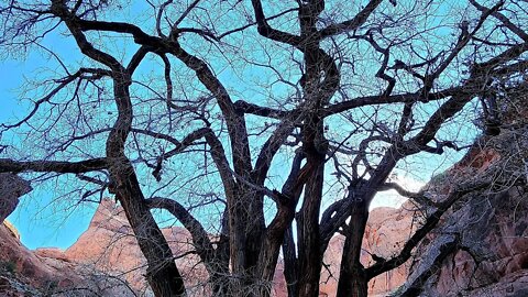 7,000 Year Old Shadowman Petroglyphs, The Vortex, Strange Landscapes, Moab Utah