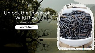 Discover the Surprising Health Benefits of Wild Rice: The Superfood You Need to Try