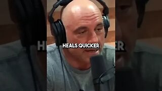 Joe Rogan Motivational Speech #shorts #motivationalspeech #selfimprovement