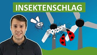 Windkraft und Insektenschlag - Klimawissen - kurz&bündig