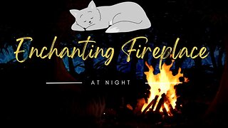 Enchanting Night Forest with Campfire | Crackling Fire Sound