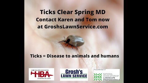 Ticks Clear Spring MD Lawn Care Treatments
