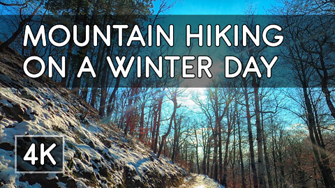 Hiking in Mountain Woods on a Crisp Winter Day - 4K UHD