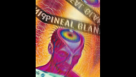 PINEAL GLAND