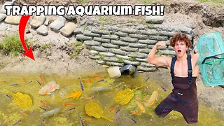 Trapping TONS Of Aquarium FISH!