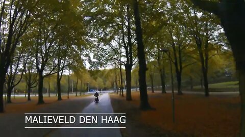 Den Haag in beeld het prachtige Malieveld in 4K