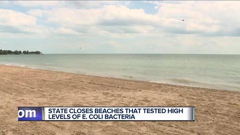 State closes beaches that tested for high levels of e.Coli bacteria