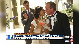 Newlyweds have a 1000 goat wedding