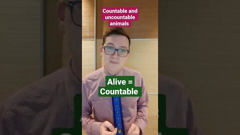 Improve your Grammar - Countable and Uncountable Animals - with English Teacher Charles #shorts