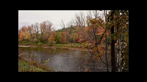 Rain on a calm river during the autumn season with birds occasionally singing in the background