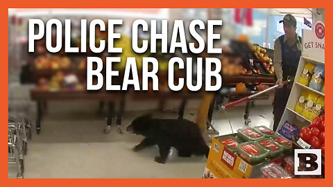 HIDE THE HONEY! Bear Cub Romps Through Grocery Store Before Being Wrangled by Police