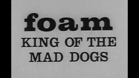 Fractured Flickers: Foam King Of the Mad Dogs