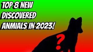 TOP 8 NEW DISCOVERED ANMIALS IN 2023!