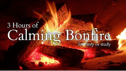 Calming Bonfire | Relaxing Sound for Sleep or Study