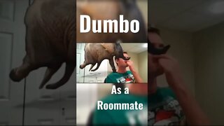 Dumbo as a Roommate #shorts