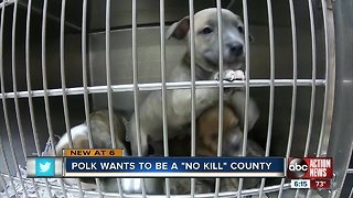 Polk want to become a "no kill" county