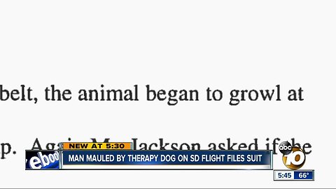 Man mauled by emotional support dog on Delta flight file suit