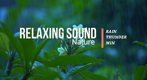 Relaxing Music with Nature Sounds I Rain Thunder Win
