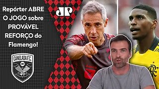 "Goleiro? O Flamengo TÁ NEGOCIANDO com o..." Repórter ABRE O JOGO sobre PROVÁVEL REFORÇO!
