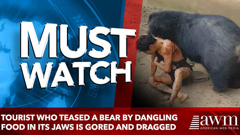 Tourist who teased a bear by dangling food in its jaws is gored and dragged