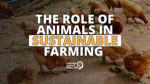 The Role of Animals in Sustainable Farming