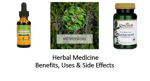 Motherwort Herbal Medicine Benefits, Uses & Side Effects