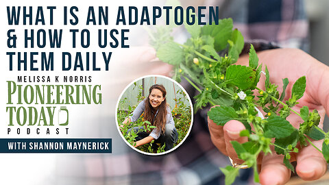 EP 404: What is an Adaptogen & How to Use Them Daily